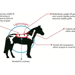 cavallohorseriderfr Amortisseur De Dos F.R.A Cavallo Endurance Tsp#509Pe Black Hot