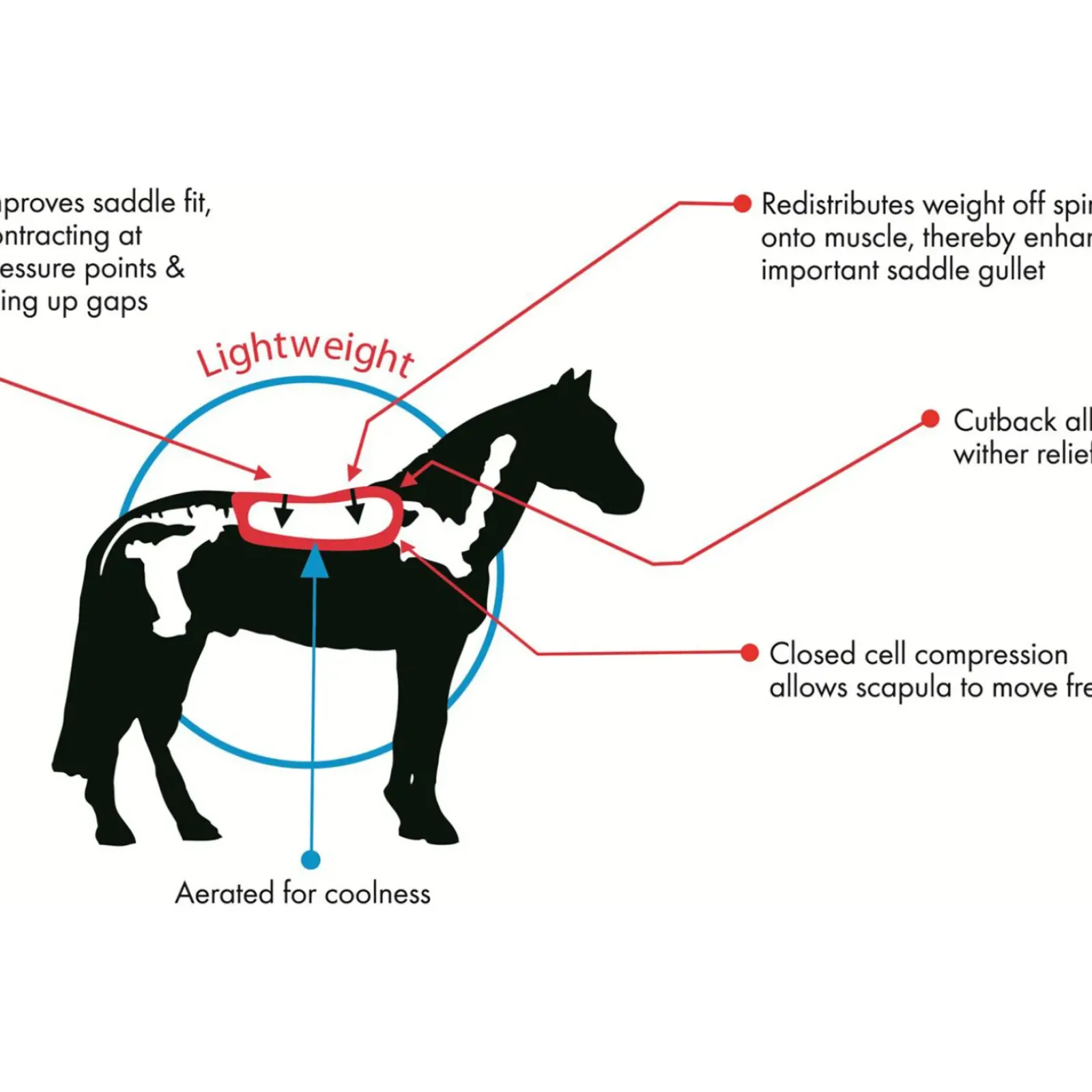 cavallohorseriderfr Amortisseur De Dos F.R.A Cavallo Endurance Tsp#509Pe Black Hot
