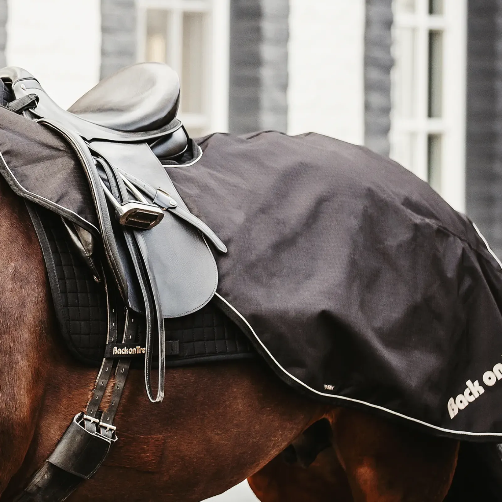 backontrack Back On Track Couvre Rein Impermeable Sammy Black New