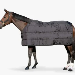 backontrack Back On Track Doublure Felix 200G Black Clearance