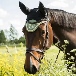 backontrack Back On Track Night Collection Bonnet Cheval Olive Green Best