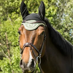 backontrack Back On Track Night Collection Bonnet Cheval Olive Green Best