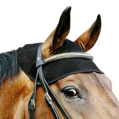 backontrack Back On Track, Protege-Cou Pour Cheval Black Best