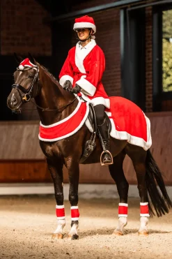 horze Bonnet De Noel Pour Cheval Rouge Sale