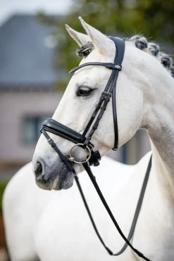 lemieux Bride Dressage Classique Black Online