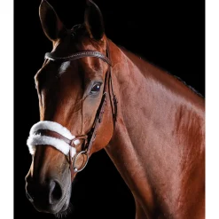 collegiate Bridon Comfitec Peau De Mouton Brown Best