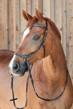 horze Bridon Combine Orlando Sans Mors Noir Discount