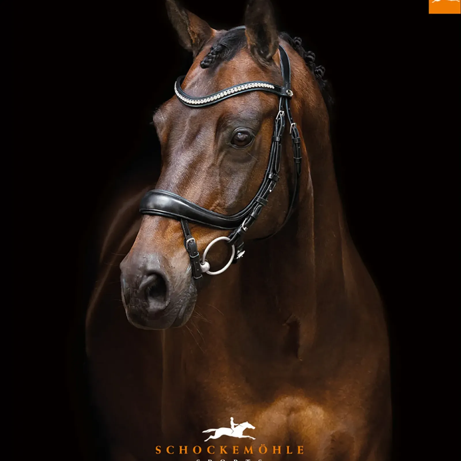 schockemohle Bridon Equitus Beta Special Black/Silver Best