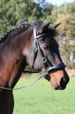 fra Bridon F.R.A. Aruba Sans Mors Black Hot