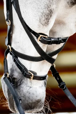 horseware Bridon Rambo Micklem 2 Multi Black Discount