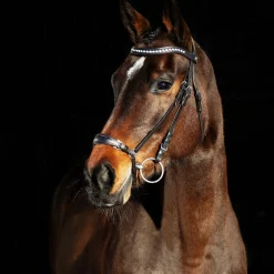 horze Bridon Muserolle Allemande Bergen Marron Online