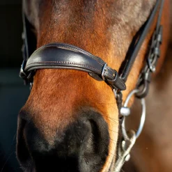 horze Bridon Muserolle Allemande Bergen Marron Online