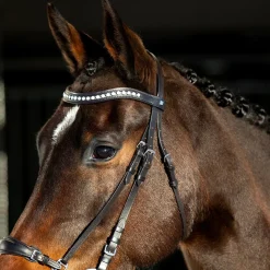 horze Bridon Muserolle Allemande Bergen Marron Online