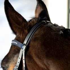 horze Bridon Muserolle Allemande Bergen Marron Online