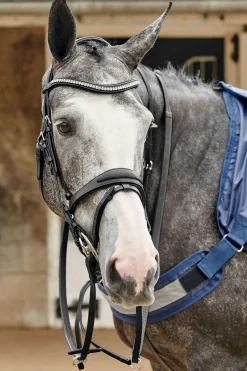 johnwhitaker Bridon Perfore John Whitaker Chicago Bling Black Online