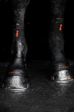 incrediwear Chaussettes Circulation Sabots Black Hot