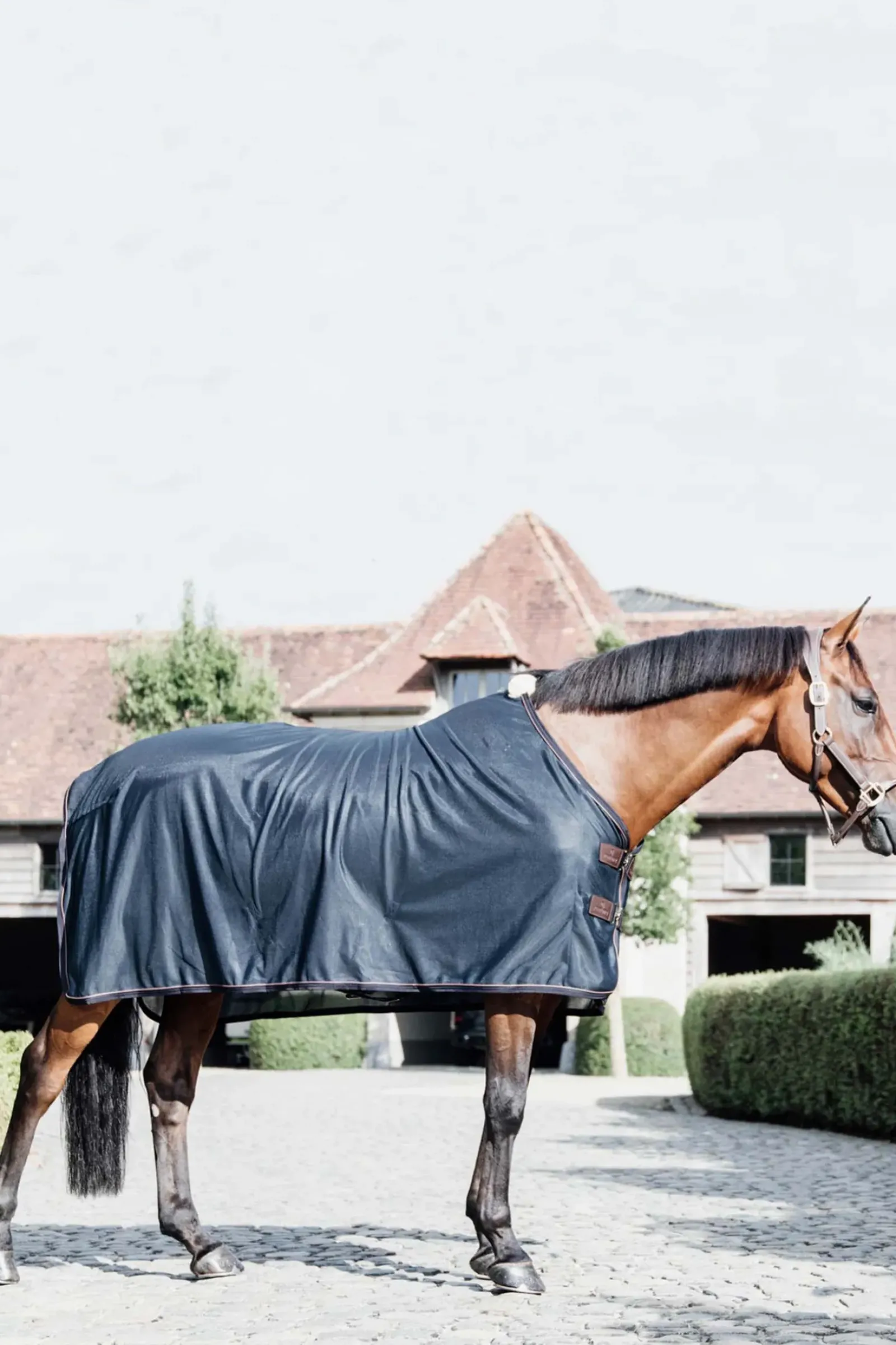 kentucky Chemise Anti-Mouches Horsewear Db/Ab Discount