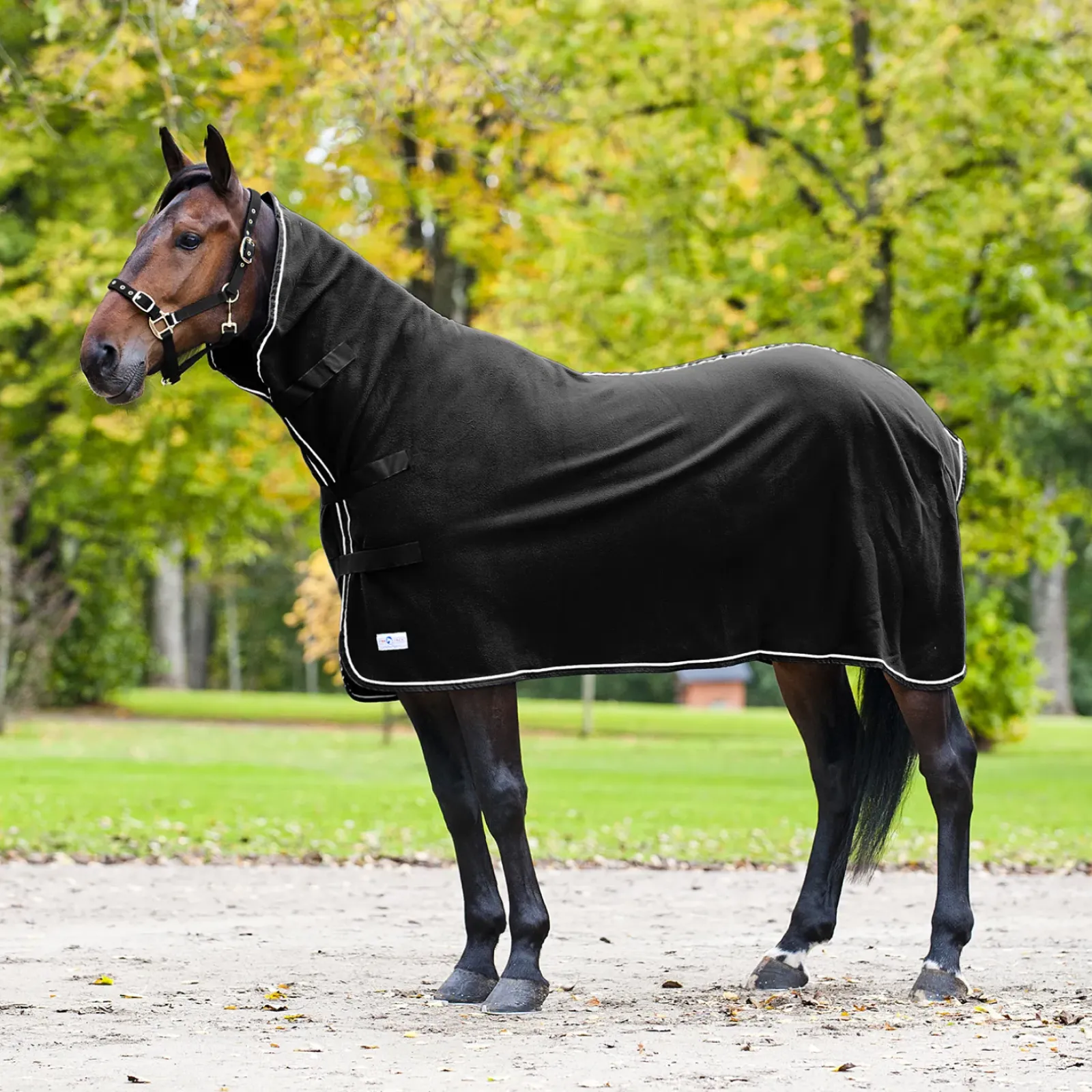 finntack Chemise Avec Haute Encolure Pro Black/Black Discount