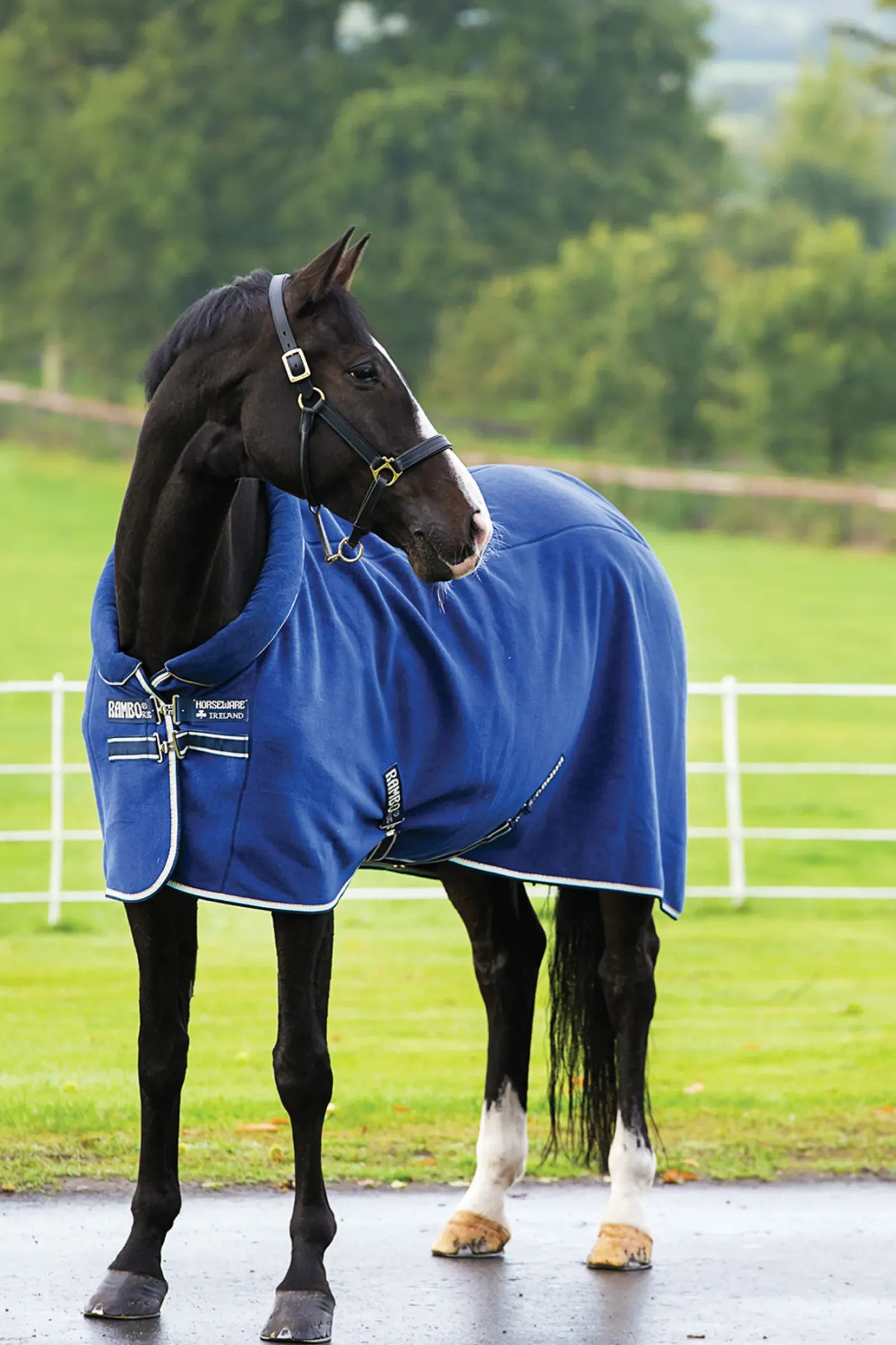 horseware Chemise Polaire Rambo Dark Blue/Beige Discount
