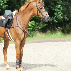 kavalkade Collier De Chasse Leyla Brown Best