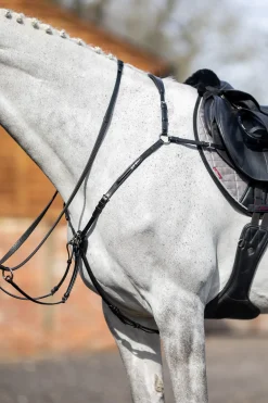 lemieux Collier De Chasse Avec Martingale Amovible Black Discount