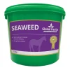 globalherbs Complement Alimentaire De Soin Varech Marin Global Herbs Seaweed, 1,5 Kg Pas D'Indication Clearance