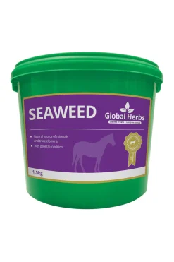 globalherbs Complement Alimentaire De Soin Varech Marin Global Herbs Seaweed, 1,5 Kg Pas D'Indication Clearance