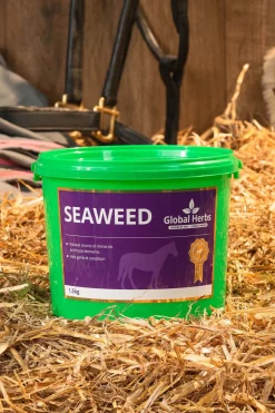 globalherbs Complement Alimentaire De Soin Varech Marin Global Herbs Seaweed, 1,5 Kg Pas D'Indication Clearance