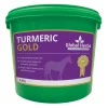 globalherbs Complement Alimentaire De Soin Curcuma Longa Global Herbs Turmeric Gold 2,8 Kg Green Discount