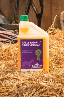 globalherbs Complement Alimentaire De Soin Pour Equins¨Vinaigre De Cidre De Pomme + Ail Global Herbs Apple & Garlic Cider Vinegar, 1 L Pas D'Indication Sale