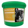 globalherbs Complement Alimentaire De Soin Developpement Des Muscles Global Herbs Muscle Up, 1 Kg Pas D'Indication Best