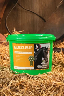 globalherbs Complement Alimentaire De Soin Developpement Des Muscles Global Herbs Muscle Up, 1 Kg Pas D'Indication Best