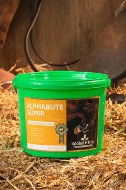 globalherbs Complement Alimentaire De Soin Anit-Douleur Global Herbs Alphabute Super, 1 Kg Pas D'Indication Online