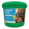 globalherbs Complement Alimentaire De Soin Voies Respiratoires Global Herbs Airwayplus, 1 Kg Pas D'Indication Outlet