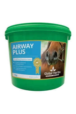 globalherbs Complement Alimentaire De Soin Voies Respiratoires Global Herbs Airwayplus, 1 Kg Pas D'Indication Outlet