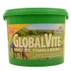 globalherbs Complement Alimentaire De Soin Global Herbs Globalvite, 3 Kg Pas D'Indication