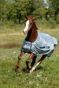 bucas Coupe Classique Buzz-Off Silver/Blue Sale