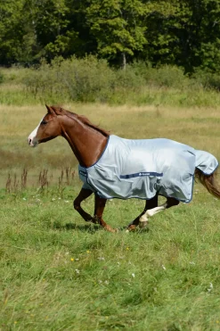 bucas Coupe Classique Buzz-Off Silver/Blue Sale
