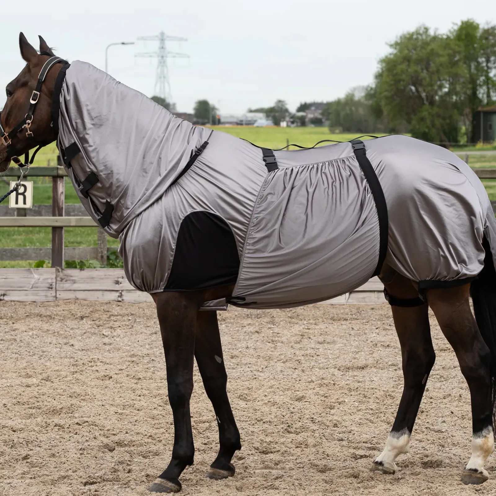 harryshorse Couverture Anti Eczéma Et Anti-Mouches Harry'S Horse Silver Online
