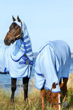horseware Couverture Anti-Eczéma Amigo Avec Couvre-Encolure Fixe, Poney Azure Blue/ Strong Blue/ Silver Hot