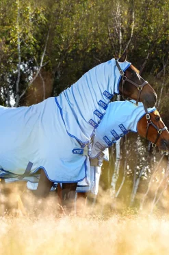 horseware Couverture Anti-Eczéma Amigo Avec Couvre-Encolure Fixe, Poney Azure Blue/ Strong Blue/ Silver Hot