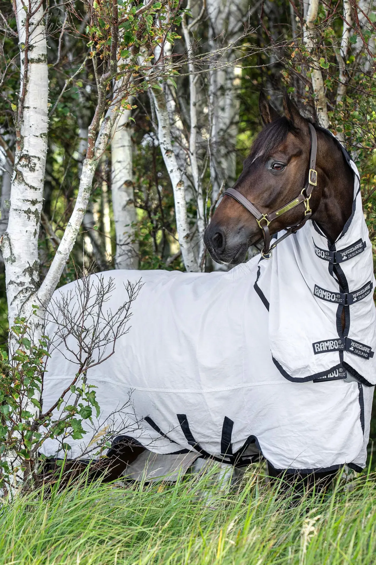 horseware Couverture Anti-Mouches Rambo Natura White/Dark Blue Sale
