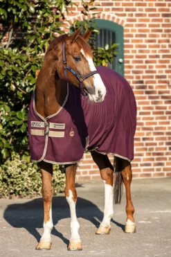 horseware Couverture D'écurie Amigo Fig/Navy/Tan Sale