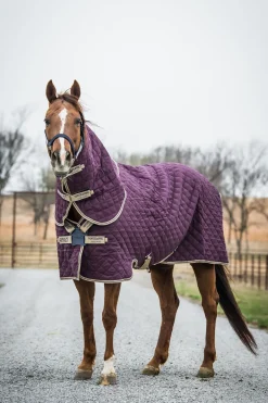 horseware Couverture D'écurie Amigo Stable Plus Medium Disque Avec Couvre-Encolure Amovible, 200 G Fig/Navy/Tan
