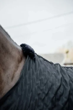 kentucky Couverture D'écurie Horsewear 0 G Black Best