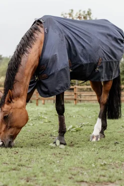 kentucky Couverture De Paddock Horsewear 300Gr Db/Ab Discount