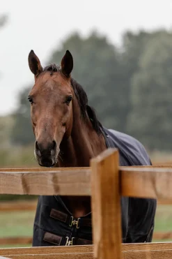 kentucky Couverture De Paddock Horsewear 300Gr Db/Ab Discount