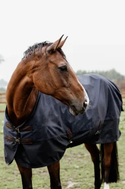 kentucky Couverture De Paddock Horsewear 300Gr Db/Ab Discount