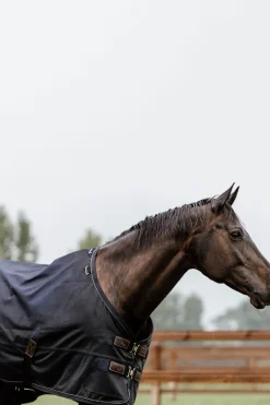 kentucky Couverture De Paddock Horsewear 300Gr Db/Ab Discount