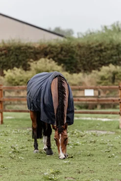 kentucky Couverture De Paddock Horsewear 300Gr Db/Ab Discount